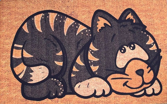 Door Mat Indoor/Outdoor Non Slip Bold Entrance Welcome Mat 69.5cmx44.5cm