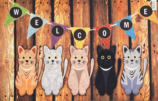 Door Mat Indoor/Outdoor Non Slip Bold Entrance Welcome Mat 69.5cmx44.5cm